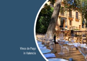 Vinos de Pago in Valencia