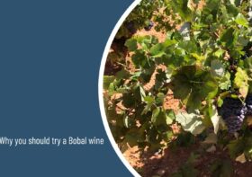 Why you should try a Bobal wine